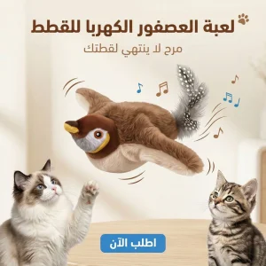 عصفور طائر للقطط والحيوانات الأليفة